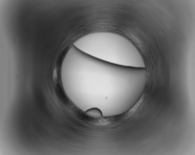 X0000100230166200805300731