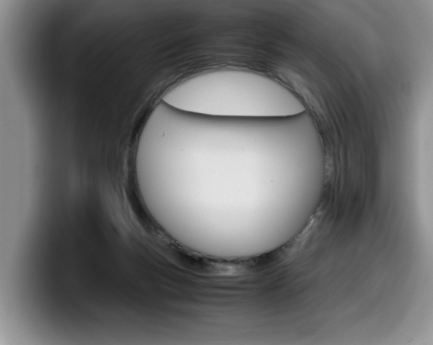 X0000100230167200805300731