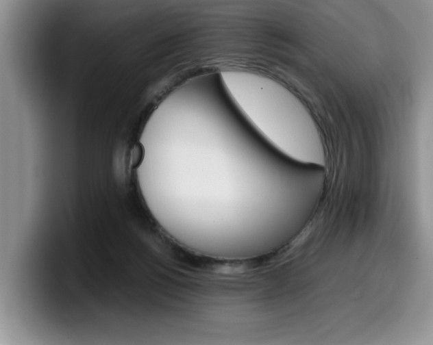 X0000100230168200805300731