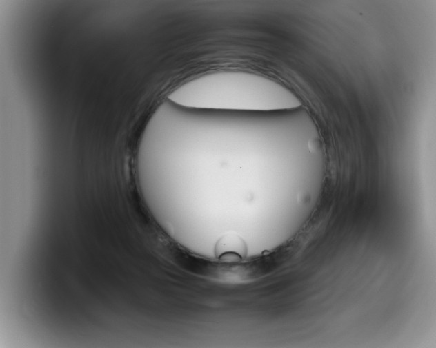 X0000100230169200805300731