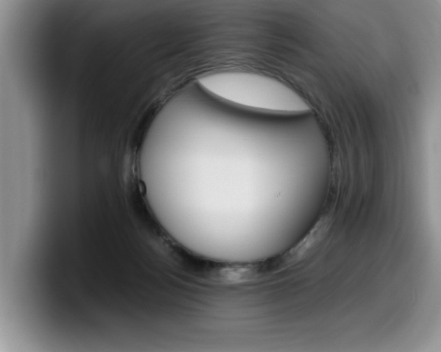 X0000100230172200805300731