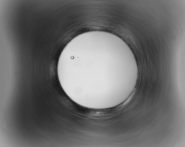 X0000100230174200805300731