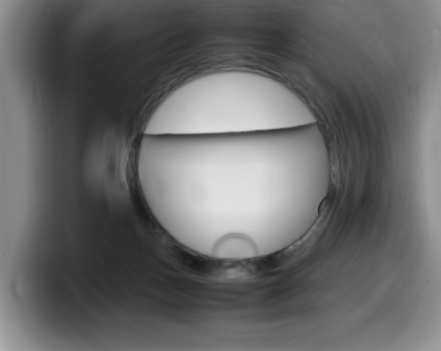 X0000100230175200805300731