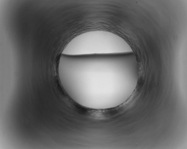 X0000100230182200805300731