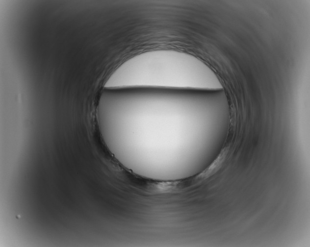 X0000100230184200805300732