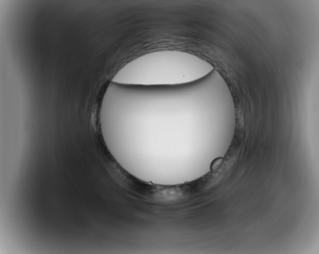 X0000100230185200805300732