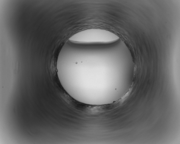 X0000100230186200805300732