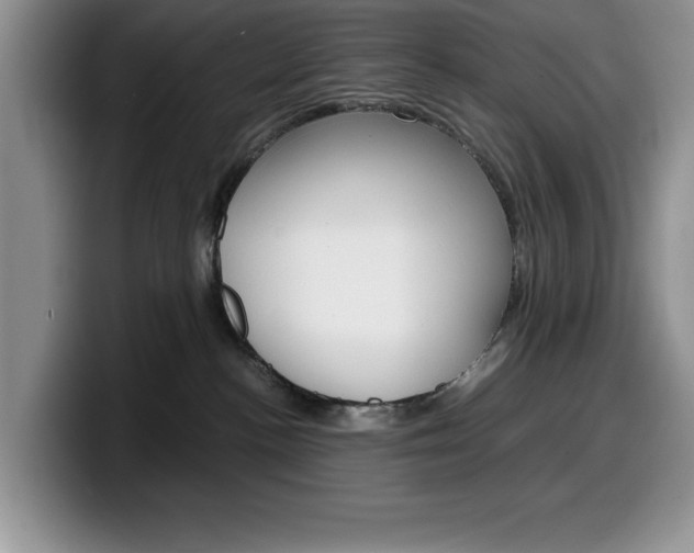 X0000100230188200805300732