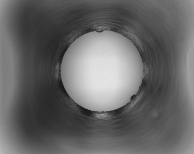 X0000100230189200805300732