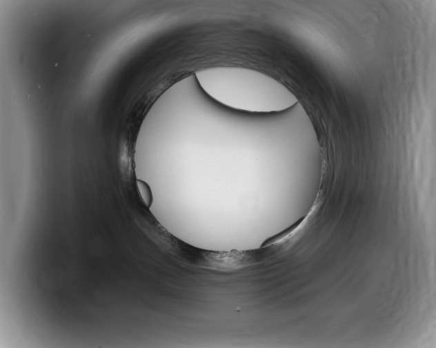X0000100230191200805300732