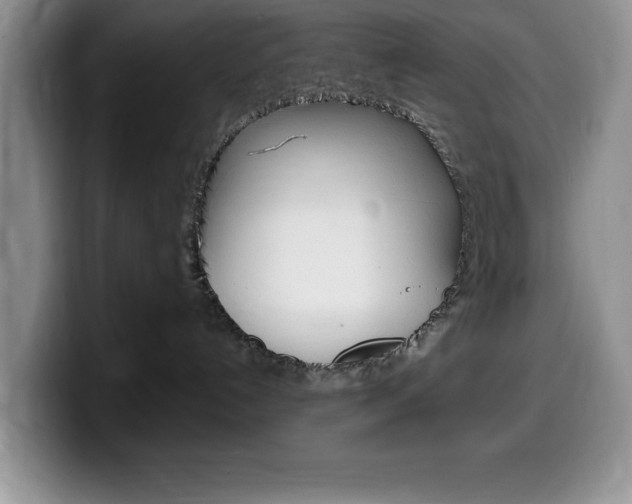 X0000100230192200805300732