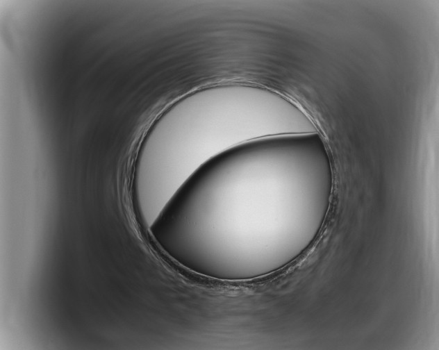 X0000100230193200805300731