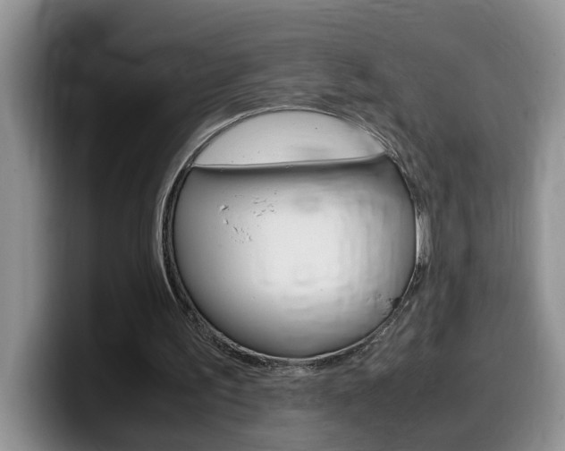 X0000100230195200805300731