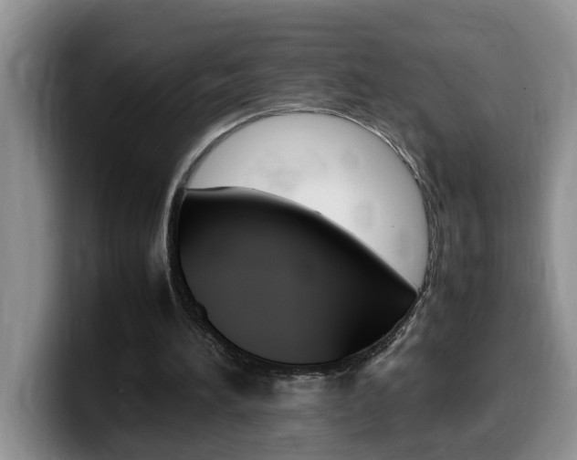 X0000100230196200805300731