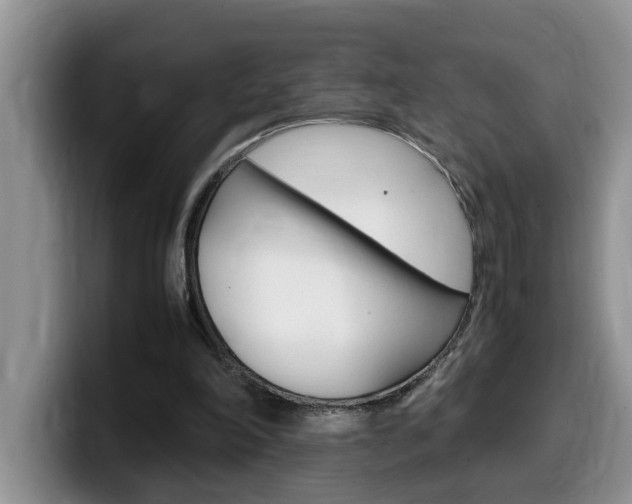 X0000100230198200805300731