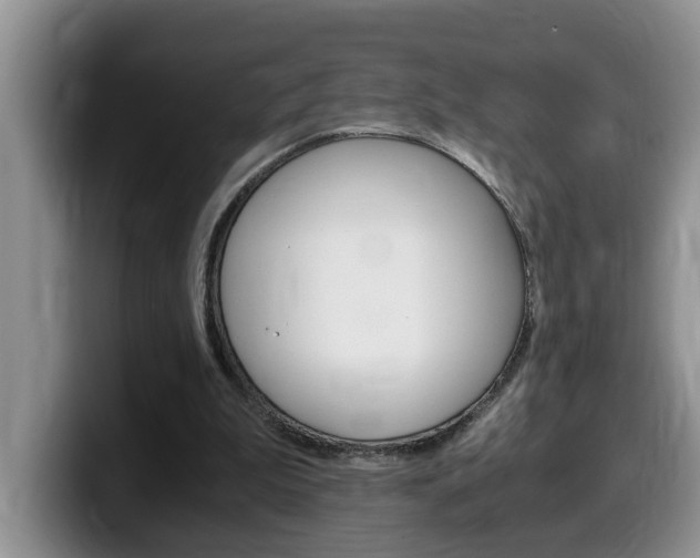 X0000100230199200805300731