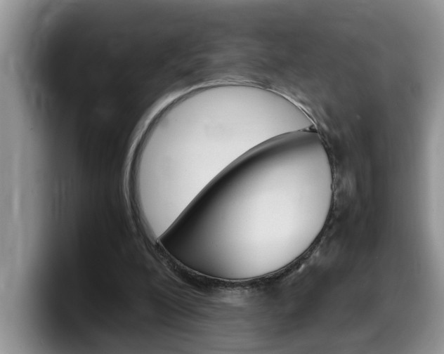 X0000100230200200805300731