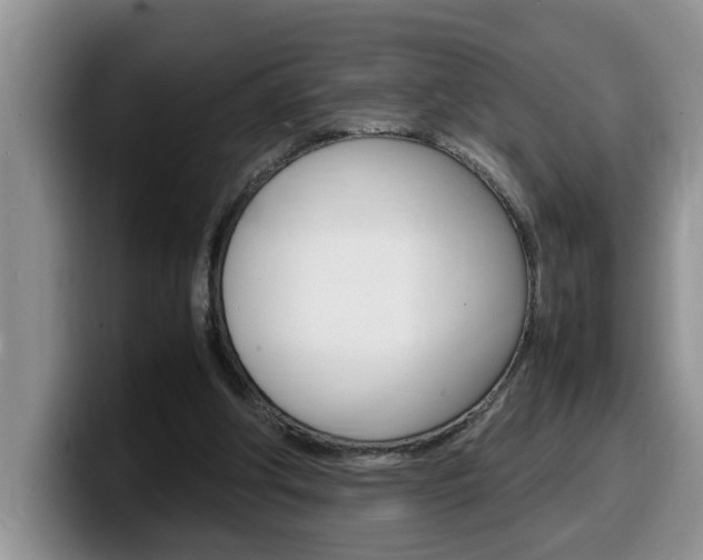 X0000100230202200805300731