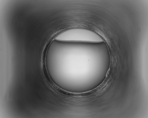 X0000100230203200805300731