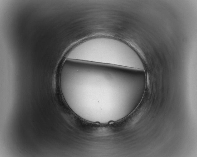 X0000100230204200805300731