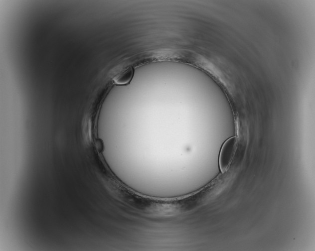 X0000100230205200805300731