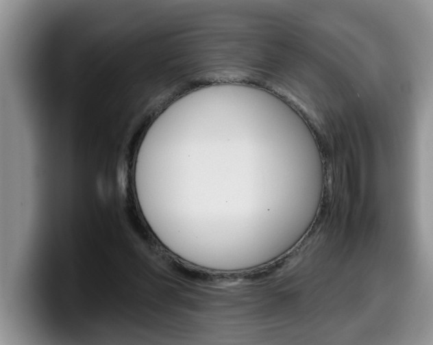 X0000100230206200805300731