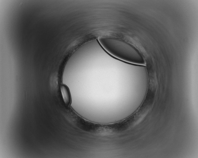 X0000100230207200805300731