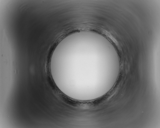 X0000100230209200805300731