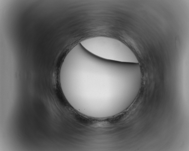 X0000100230210200805300731