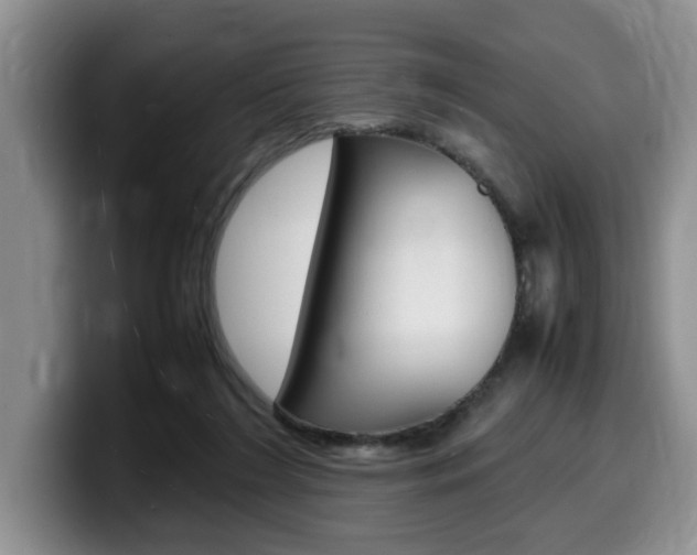 X0000100230212200805300731