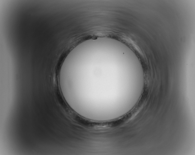 X0000100230213200805300731
