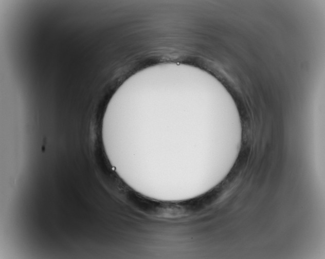 X0000100230215200805300731