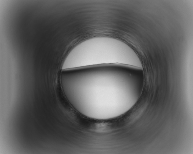 X0000100230216200805300731