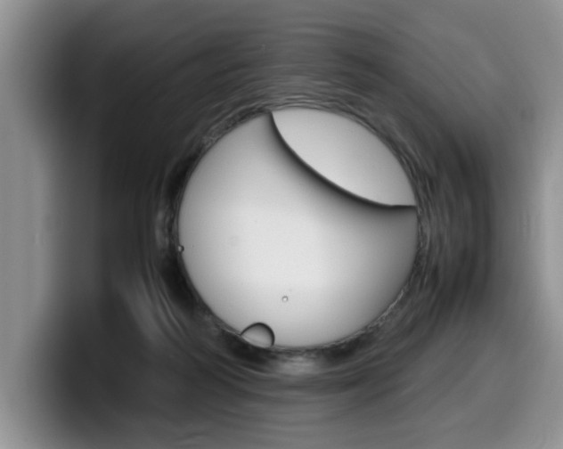 X0000100230218200805300731