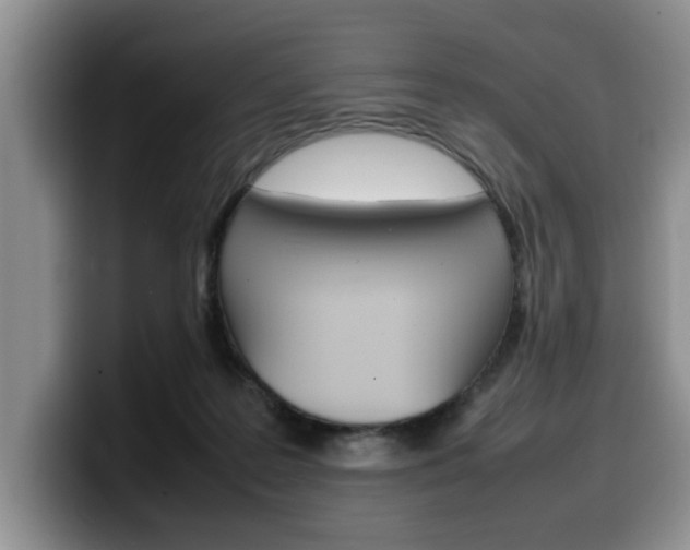 X0000100230219200805300731