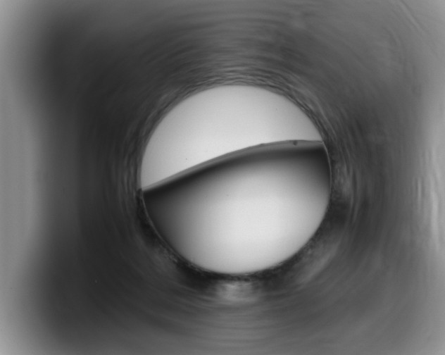 X0000100230220200805300731