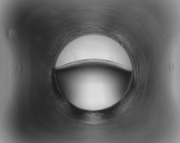 X0000100230221200805300731