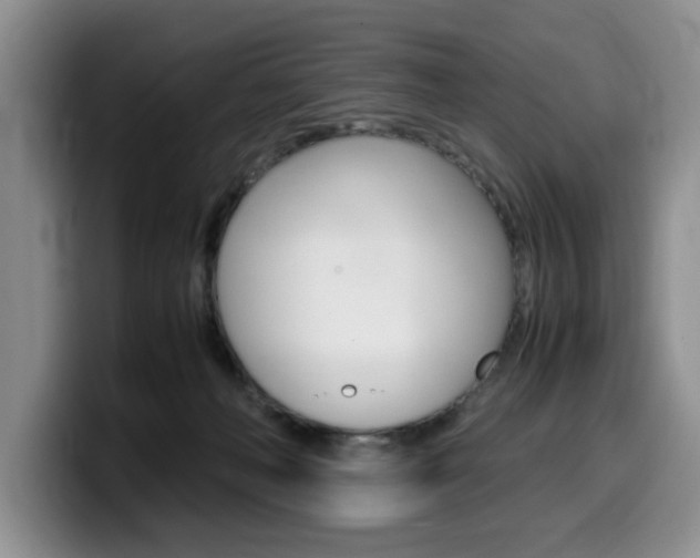 X0000100230222200805300731