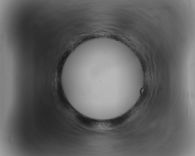 X0000100230223200805300731