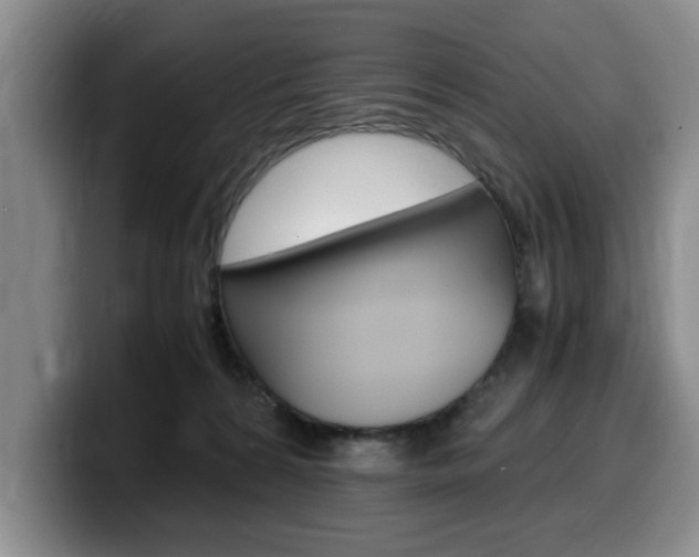X0000100230224200805300731