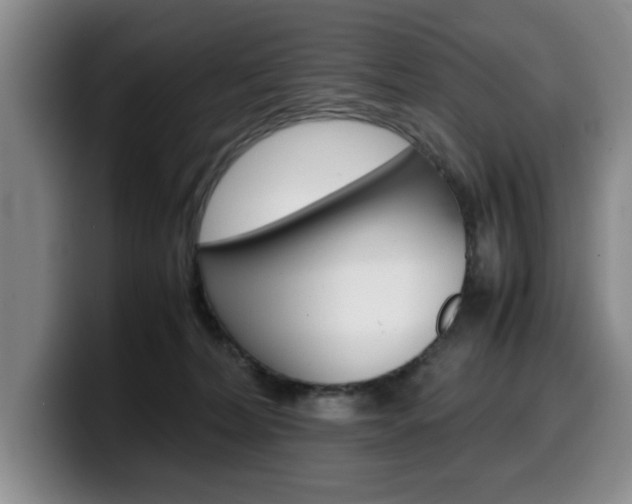 X0000100230228200805300731