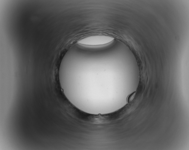 X0000100230229200805300731