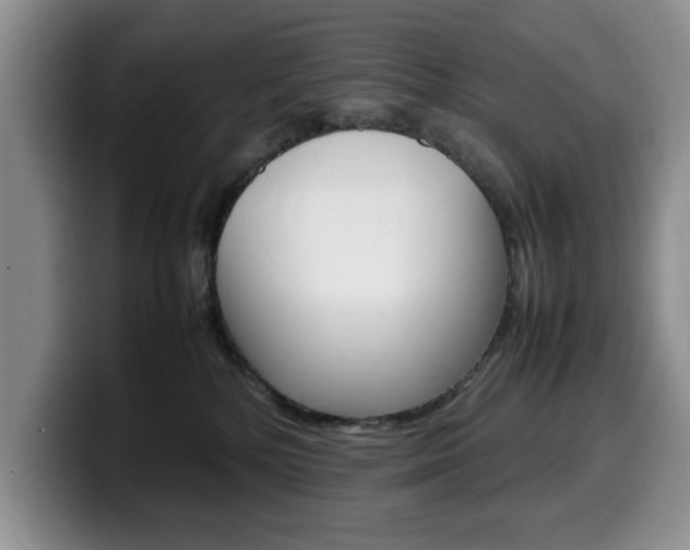 X0000100230232200805300731