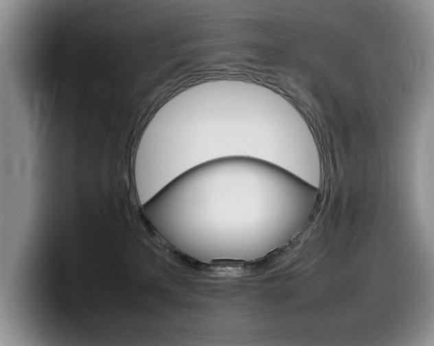 X0000100230233200805300731