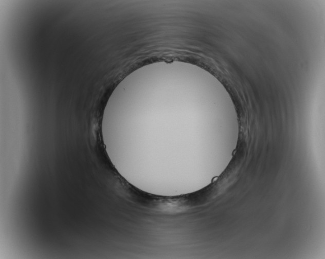 X0000100230235200805300731