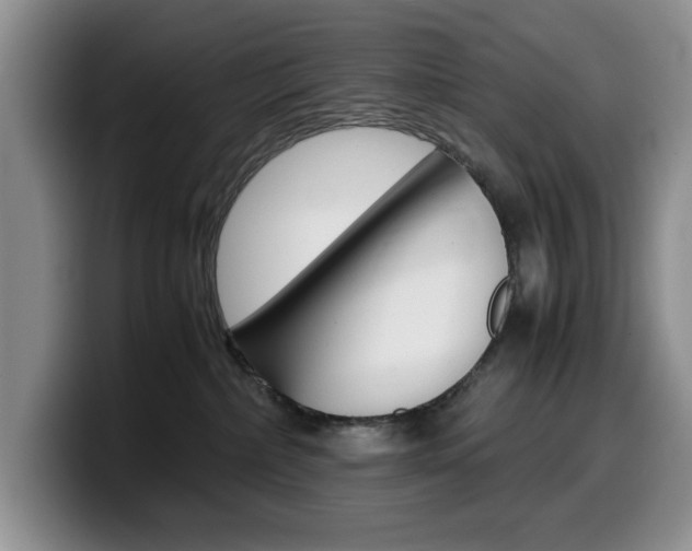 X0000100230236200805300731