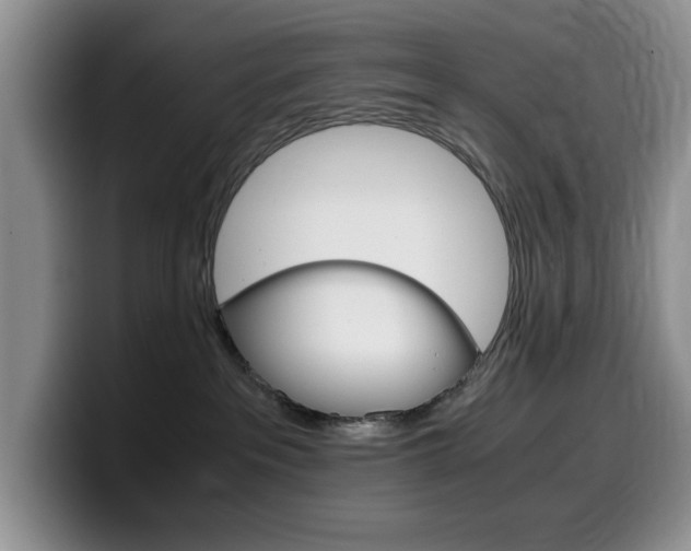 X0000100230237200805300731
