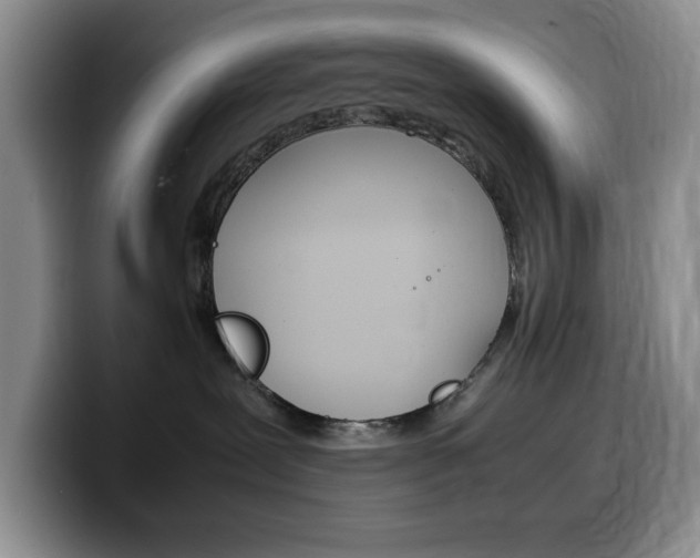 X0000100230239200805300731