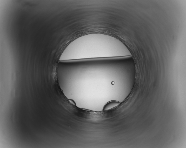 X0000100230240200805300731
