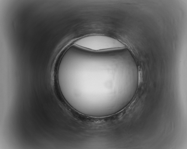 X0000100230243200805300730